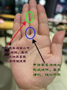 無名指長的人好賭嗎