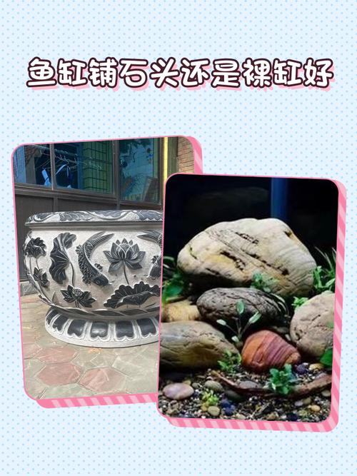 魚缸鋪石頭還是裸缸好