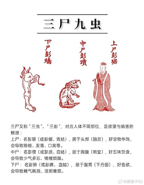 中國三大術數