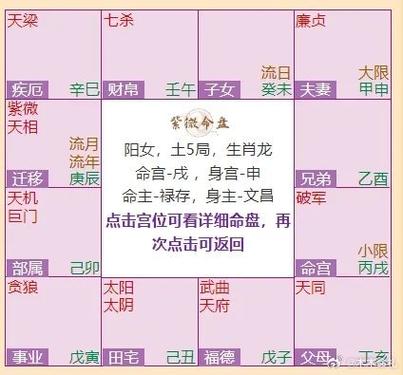 夫妻宮在亥宮紫微七殺 能力事業順達感情偏差