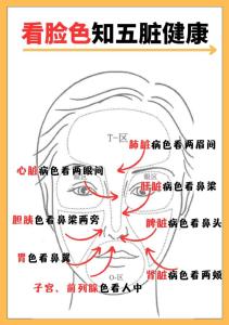 看面相知健康 面相看健康怎么看