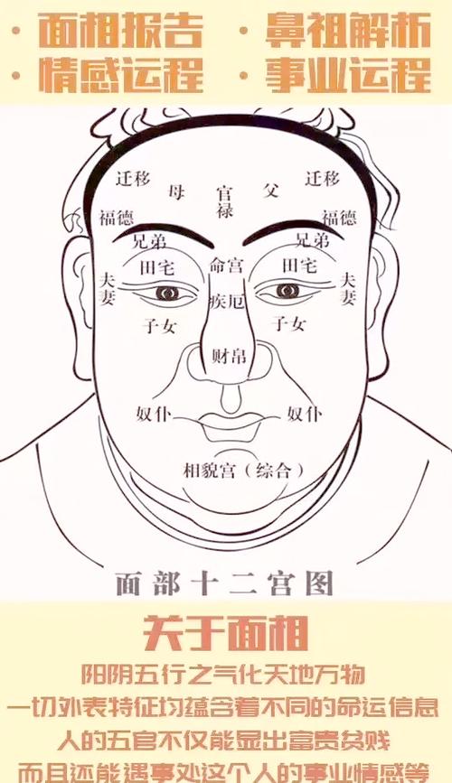 如何從女人的額頭面相看財富