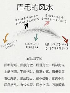 眉毛短的女人命好不好 眉毛短的女人面相分析