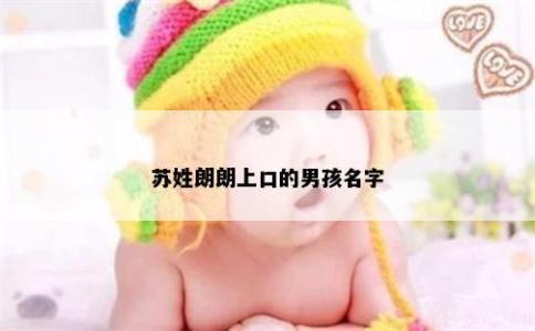 蘇姓朗朗上口的男孩名字