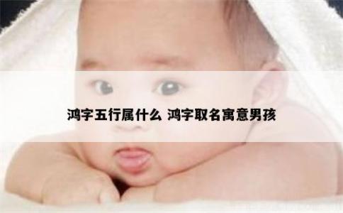 鴻字五行屬什么 鴻字取名寓意男孩