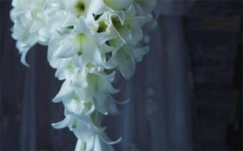 2026年農歷三月初七結婚日子如何 今日辦喜事好不好