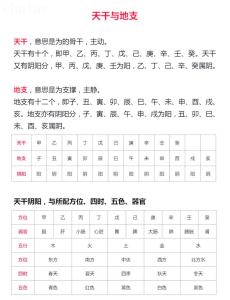 八字十二地支的定義 十二地支五行屬性精解