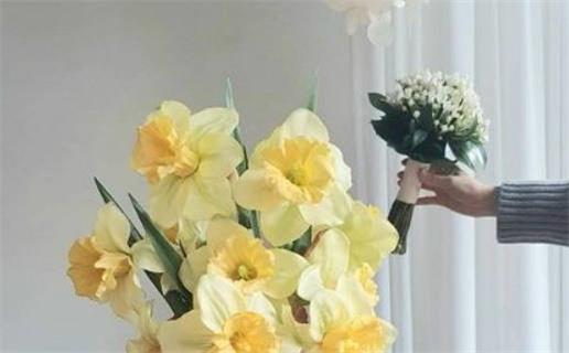 2026年05月15日領證黃道吉日 今日登記結婚好不好