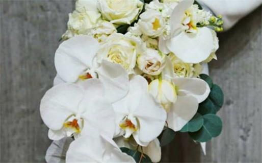 2026年農歷六月二十結婚黃道吉日 是辦喜事好日子嗎