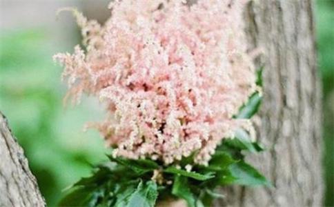2026年08月21日領(lǐng)證好不好 今日登記結(jié)婚好嗎