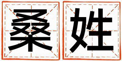 桑姓取名冷門獨特的男寶寶名字