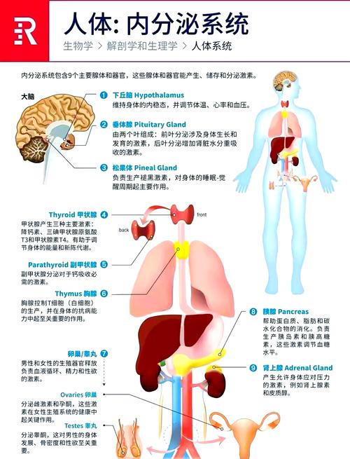 你想知道的體相解析 這里都有