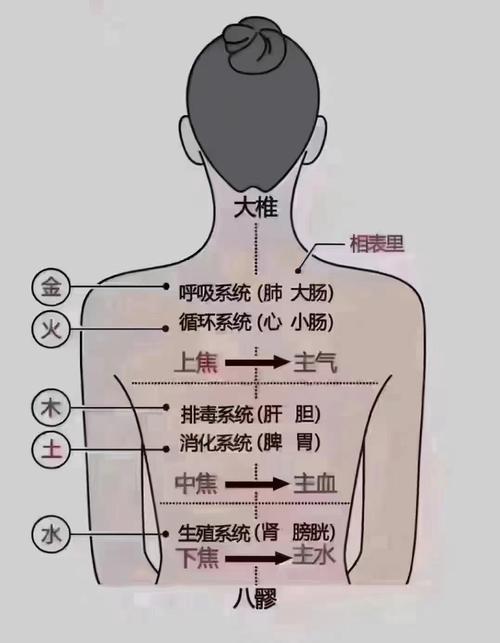 體相：從肩膀看一生命運
