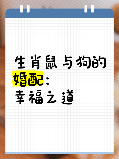 狗跟鼠的屬相適合做夫妻嗎 狗婆婆和鼠媳婦合不合