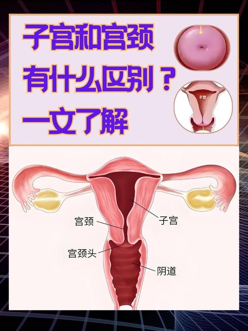女人生育能力強不強，看著四個地方就知道!