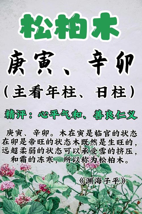 松柏木命最佳配偶 是什么命