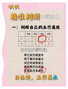 體相看你的五行屬性
