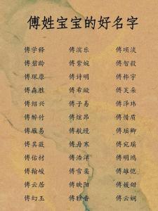 付姓寶寶取名大全