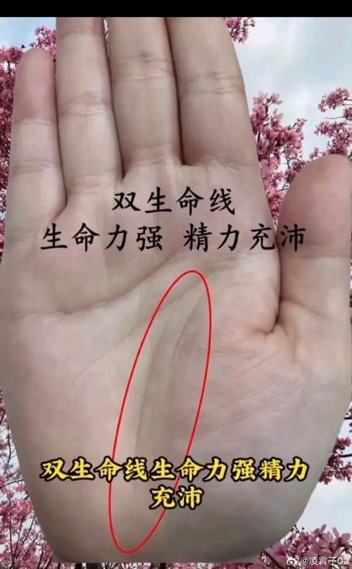 生命線為兩條平行線