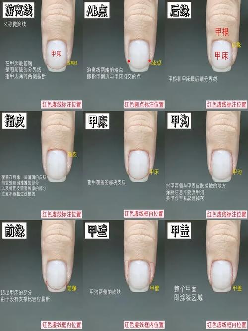 指甲的生長與健康有關系嗎