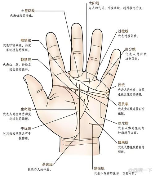手相預測智慧線很長說明了什么運勢