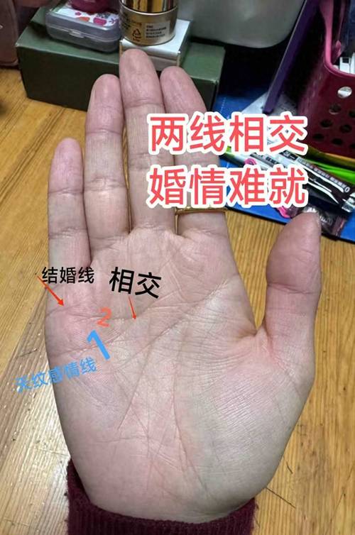 看手相婚姻幸福的有哪些