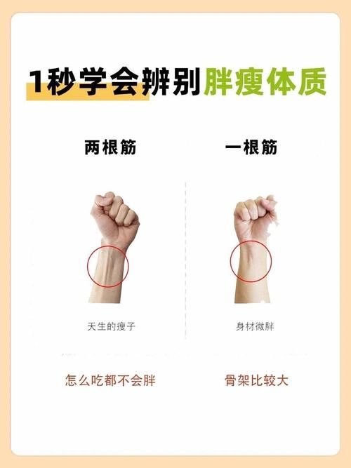 胖子與瘦子的手相能同一而論嗎