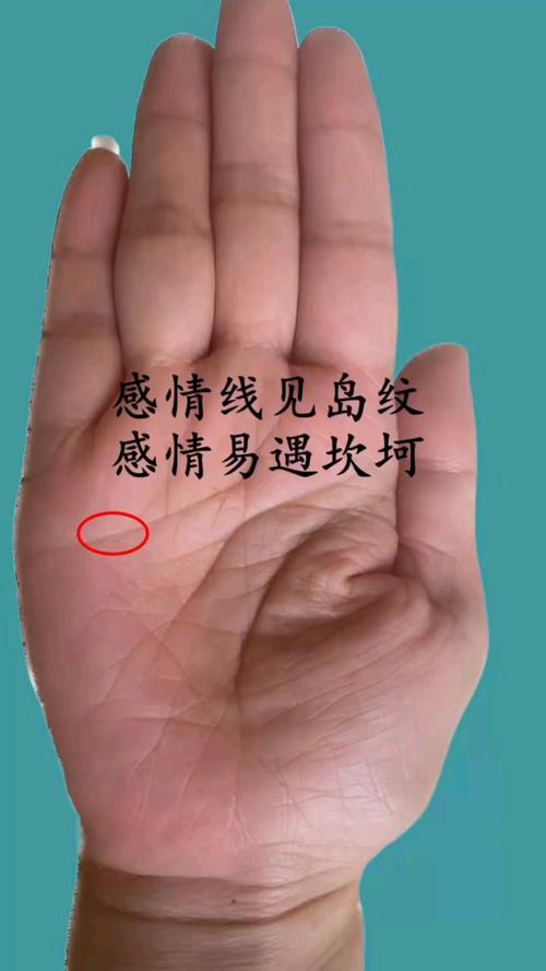 感情線上有島紋圖解