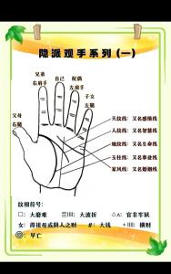 掌紋的秘密全圖解