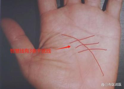 智慧線橫切的人不適合做與人有密切接觸的工作嗎
