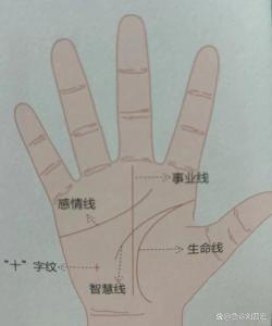 什么是生命線