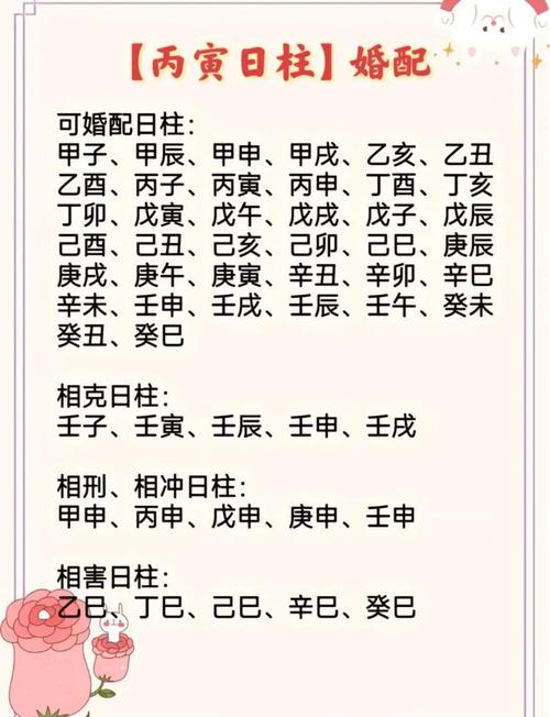 丙寅日柱看配偶  壬子庚申日柱