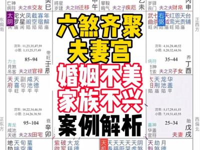 紫微斗數紫微星在夫妻宮   對另一半不離不棄