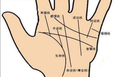 財運紋在哪里 財富紋是什么樣的