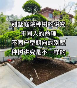 別墅綠化風(fēng)水禁忌