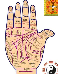 大多數人都能掌心存水是什么意思 有福氣嗎