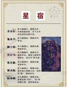 二十八星宿哪個財運最好