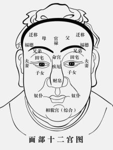 面相分析 四白眼的女人2020年運勢怎么樣