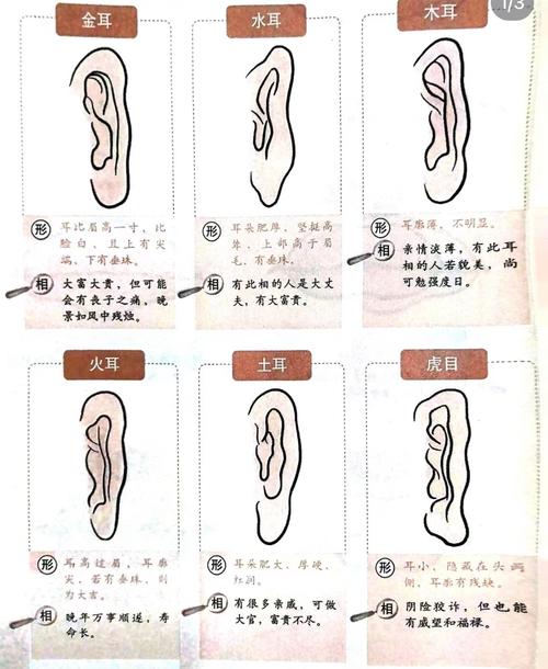 方耳垂的人命運(yùn)怎么樣