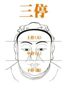什么叫三停