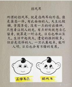 有招風耳的人運勢如何