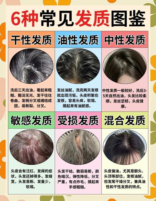 從頭發發質看你命運