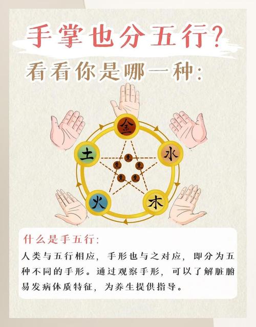 掌中五行揭示你的運勢