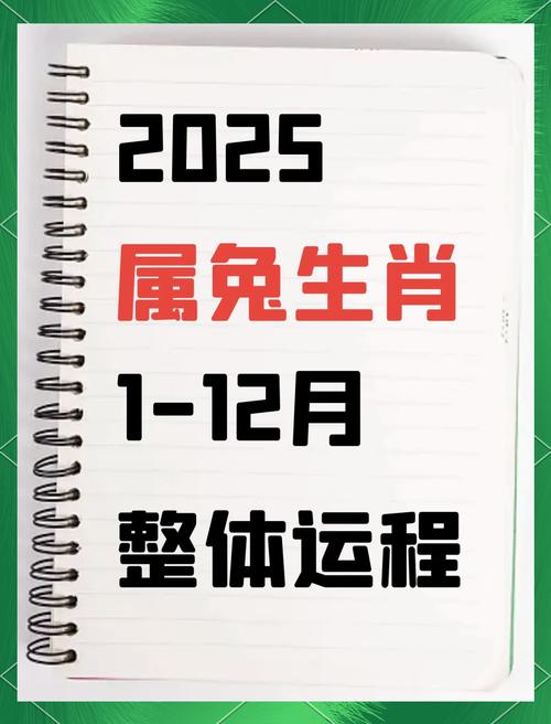 屬兔2025年運勢及運程每月運程 2025屬兔全年完整運氣