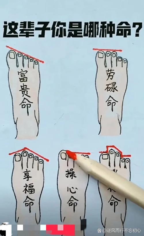 腳相算命
