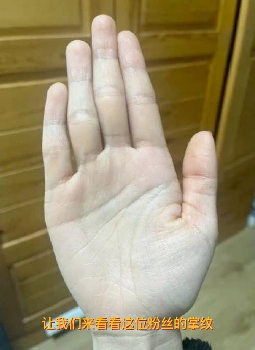 金星之女人大富大貴的手相