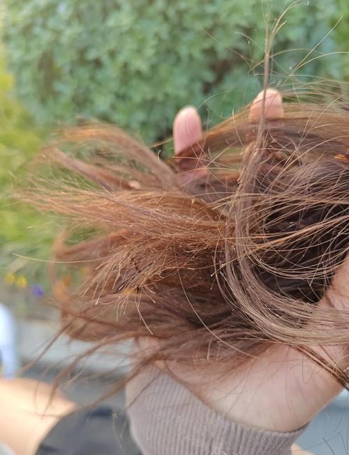 女人頭發(fā)干燥枯黃影響運(yùn)勢(shì)嗎