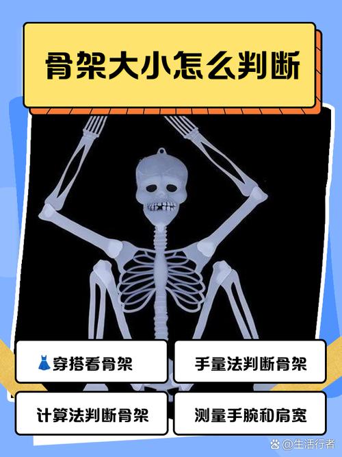 骨架看人生的高低貴賤