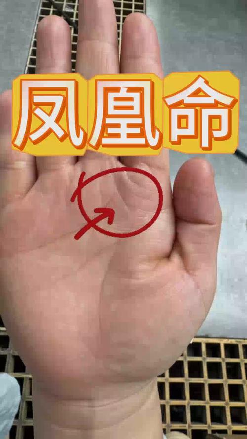罕見的手相掌紋有哪些
