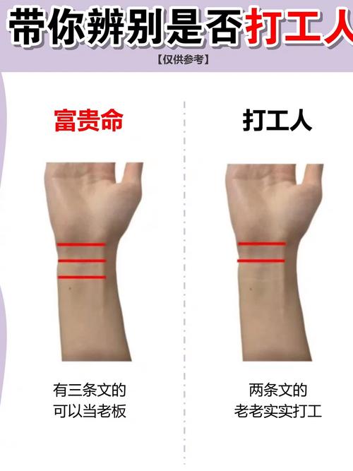 手腕三條紋代表什么